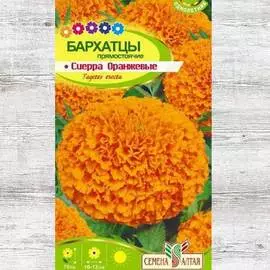 Бархатцы Сиерра оранжевые