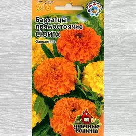 Бархатцы Сюита, смесь окрасок