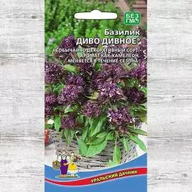 Базилик Диво Дивное
