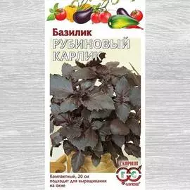 Базилик Карлик рубиновый