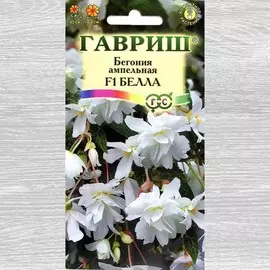 Бегония Белла F1