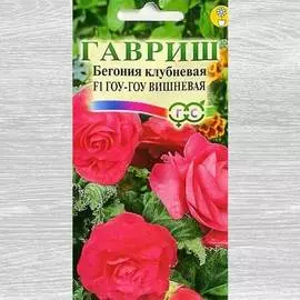 Бегония Гоу-гоу Вишневая F1