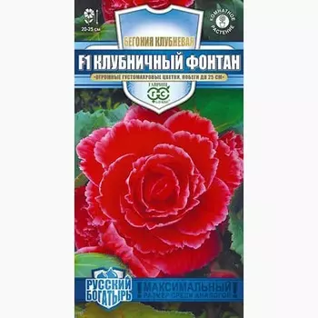 Бегония клубневая Клубничный фонтан Гавриш