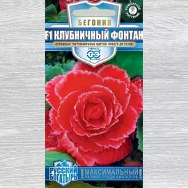Бегония Клубничный фонтан F1