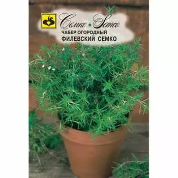 Чабер огородный Филевский Семко Семко