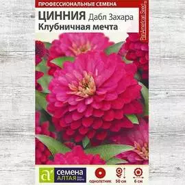 Цинния Дабл Захара Клубничная мечта