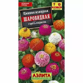Цинния изящная Шаровидная, смесь окрасок Аэлита