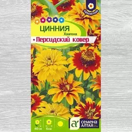 Цинния Персидский ковер, смесь окрасок