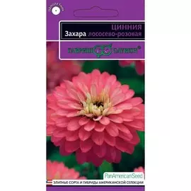 Цинния Захара лососево-розовая