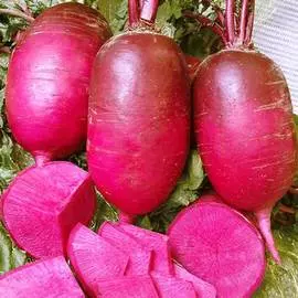 Дайкон Малиновый нектар F1