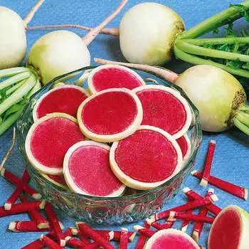 Дайкон Розовый блеск