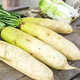 Дайкон Русский Размер F1