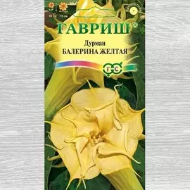 Дурман Балерина желтая