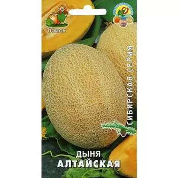 Дыня Алтайская Поиск