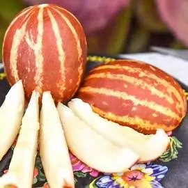 Дыня Ходжа Насреддин