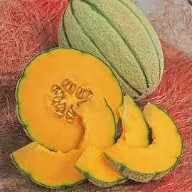 Дыня Канталупа желтая F1