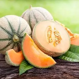 Дыня Карамелька F1