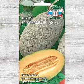 Дыня Карамельная F1