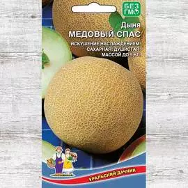 Дыня Медовый спас