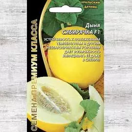 Дыня Сибирячка F1