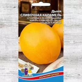 Дыня Сливочная карамель