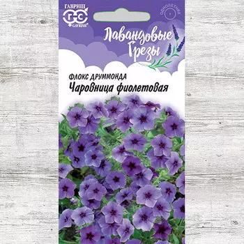 Флокс Друммонда Чаровница фиолетовая Гавриш