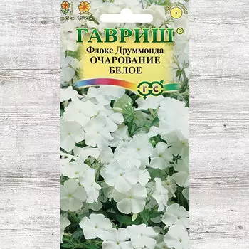 Флокс Друммонда Очарование белое Гавриш