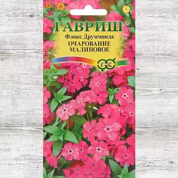 Флокс Друммонда Очарование малиновое Гавриш
