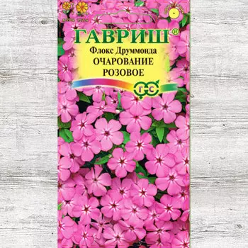 Флокс Друммонда Очарование розовое Гавриш