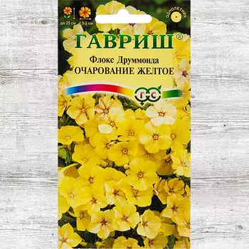 Флокс Друммонда Очарование желтое Гавриш