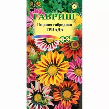 Гацания крупноцветковая Триада, смесь окрасок Гавриш