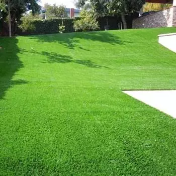 Газон Милипут