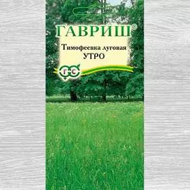 Газон Тимофеевка Утро