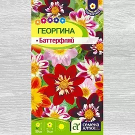 Георгина Баттерфляй, смесь окрасок