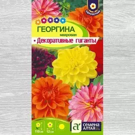 Георгина Декоративные гиганты, смесь окрасок