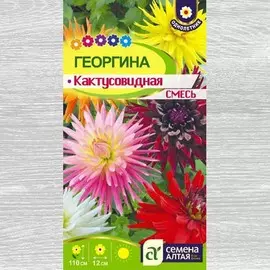 Георгина Кактусовидная, смесь окрасок