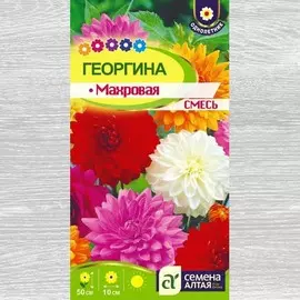 Георгина Махровая, смесь окрасок