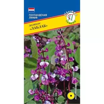 Гиацинтовые бобы (долихос) Лаблаб Престиж