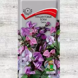 Гиацинтовые бобы, смесь окрасок