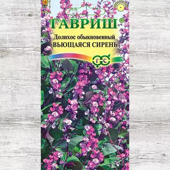 Гиацинтовые бобы Вьющаяся сирень Гавриш