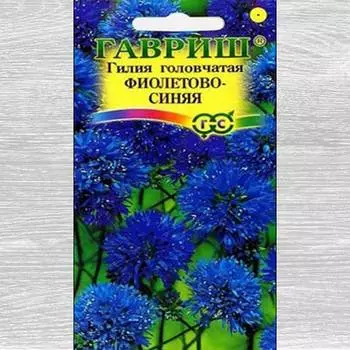 Гилия Фиолетово-синяя Гавриш