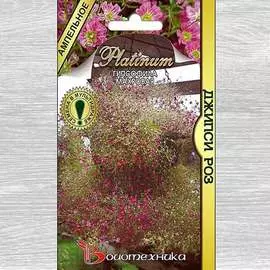 Гипсофила махровая Джипси Роз