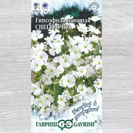 Гипсофила Снегурочка