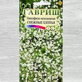 Гипсофила Снежные хлопья