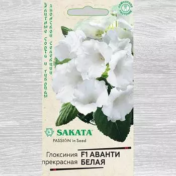 Глоксиния Аванти белая F1 Гавриш