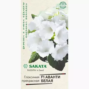 Глоксиния Аванти белая F1 Гавриш