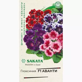 Глоксиния Аванти F1, смесь окрасок Гавриш