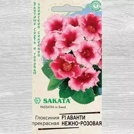 Глоксиния Аванти нежно-розовая F1