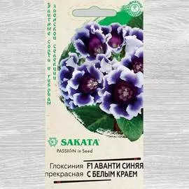 Глоксиния Аванти синяя с белым краем F1