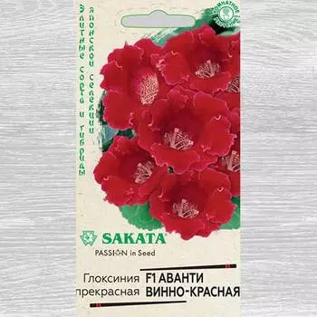 Глоксиния Аванти винно-красная F1 Гавриш